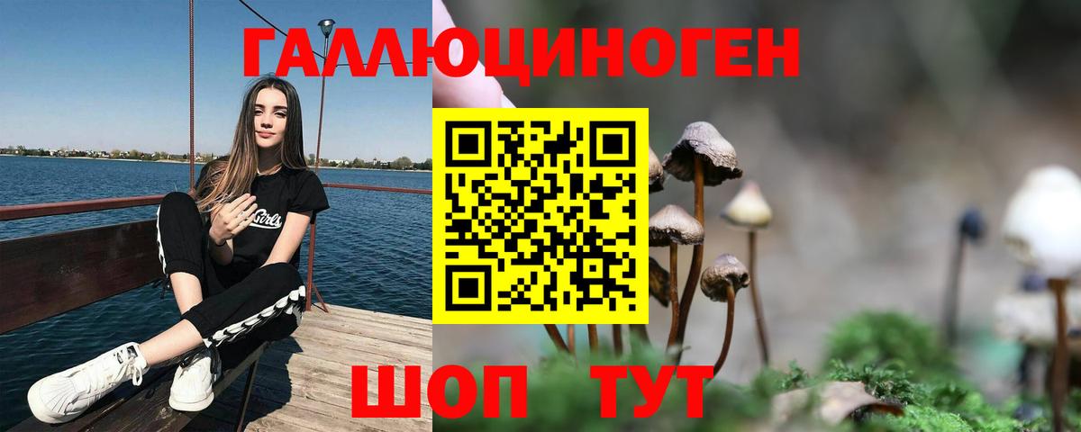 Псилоцибиновые грибы мухоморы Тельмана